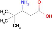 (R)-3-Amino-4,4-dimethylpentanoic acid