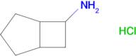 Bicyclo[3.2.0]heptan-6-amine hydrochloride