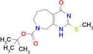 tert-butyl 2-(methylsulfanyl)-4-oxo-1H,4H,5H,6H,7H,8H,9H-pyrimido[4,5-c]azepine-8-carboxylate