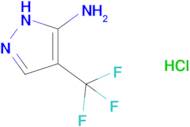 4-(trifluoromethyl)-1H-pyrazol-5-amine hydrochloride