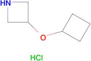 3-Cyclobutoxyazetidine hydrochloride