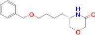 (S)-5-(4-(benzyloxy)butyl)morpholin-3-one