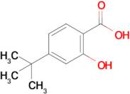 4-tert-Butyl-2-hydroxybenzoic acid