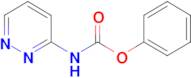 Phenyl pyridazin-3-ylcarbamate