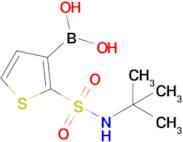 2-(t-Butylsulfamoyl)thiophene-3-boronic acid