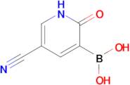 5-Cyano-1,2-dihydro-2-oxopyridine-3-boronic acid