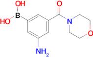 3-Amino-5-(morpholinocarbonyl)phenylboronic acid