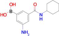 3-Amino-5-(cyclohexylcarbamoyl)phenylboronic acid