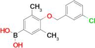 4-(3'-Chlorobenzyloxy)-3,5-dimethylphenylboronic acid