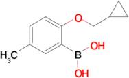 2-(cyclopropylmethoxy)-5-methylphenylboronic acid