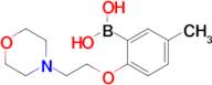 (5-Methyl-2-[2-(morpholin-4-yl)ethoxy]phenyl)boranediol