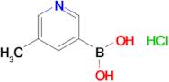 5-Methylpyridine-3-boronic acid hydrochloride