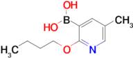 2-Butoxy-5-methylpyridine-3-boronic acid