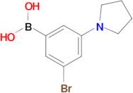 3-Bromo-5-pyrrolidinophenylboronic acid