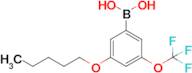 3-(Pentyloxy)-5-(trifluoromethoxy)phenylboronic acid