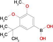 2,3-Dimethoxy-1-tert-butyl-phenyl-5-boronic acid