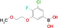 3-Chloro-4-fluoro-5-(2-methoxyethoxy)phenylboronic acid