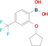 2-Cyclopentyloxy-4-(trifluoromethyl)phenylboronic acid