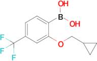 2-(Cyclopropylmethoxy)-4-trifluoromethylphenylboronic acid