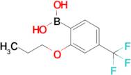 2-Propoxy-4-(trifluoromethyl)phenylboronic acid