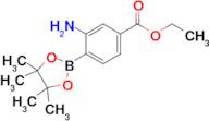 Ethyl 3-amino-4-(4,4,5,5-tetramethyl-1,3,2-dioxaborolan-2-yl)benzoate