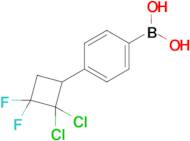 4-(2,2-Dichloro-3,3-difluorocyclobutyl)phenylboronic acid