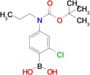 4-(N-Boc-N-Propylamino)-2-chlorophenylboronic acid