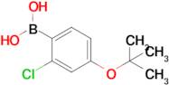 4-(t-Butoxy)-2-chlorophenylboronic acid