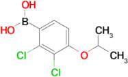 2,3-Dichloro-4-isopropoxyphenylboronic acid