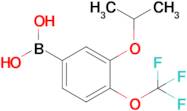 3-Isopropoxy-4-(trifluoromethoxy)phenylboronic acid