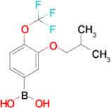 3-Isobutoxy-4-(trifluoromethoxy)phenylboronic acid