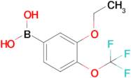 3-Ethoxy-4-(trifluoromethoxy)phenylboronic acid