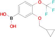 3-(Cyclopropylmethoxy)-4-(trifluoromethoxy)phenylboronic acid