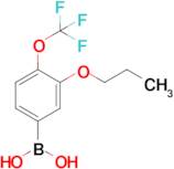 3-Propoxy-4-(trifluoromethoxy)phenylboronic acid