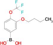 3-Butoxy-4-(trifluoromethoxy)phenylboronic acid