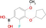 3-(Cyclopentyloxy)-2-fluoro-4-methoxyphenylboronic acid