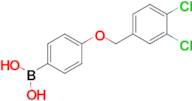 4-(3,4-Dichlorophenylmethoxy)phenylboronic acid