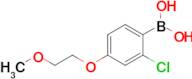 2-Chloro-4-(2-methoxyethoxy)phenylboronic acid