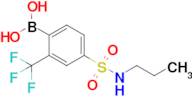 4-(N-Propylsulfamoyl)-2-trifluoromethylphenylboronic acid