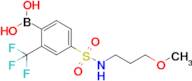 4-(N-(3-Methoxypropyl)sulfamoyl)-2-trifluoromethylphenylboronic acid