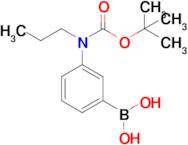 3-(N-Boc-N-Propylamino)phenylboronic acid