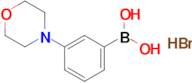 3-Morpholinophenylboronic acid hydrobromide