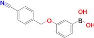 3-(4-Cyanophenylmethoxy)phenylboronic acid