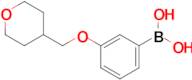 3-(Tetrahydro-2H-pyran-4-yl)methoxyphenylboronic acid