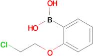 2-(2-Chloroethoxy)phenylboronic acid