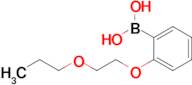 2-(2-Propoxyethoxy)phenylboronic acid