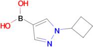 (1-Cyclobutylpyrazol-4-yl)boronic acid