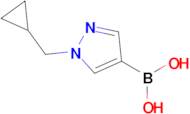 1-(Cyclopropylmethyl)pyrazole-4-boronic acid