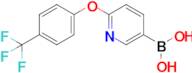 2-(4-Trifluoromethylphenoxy)pyridine-5-boronic acid
