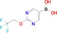 2-(2,2,2-Trifluoroethoxy)pyrimidine-5-boronic acid